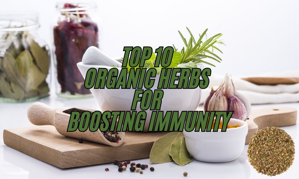 Top 10 Organic Herbs Benefits for Boosting Immunity | Look 4 organic